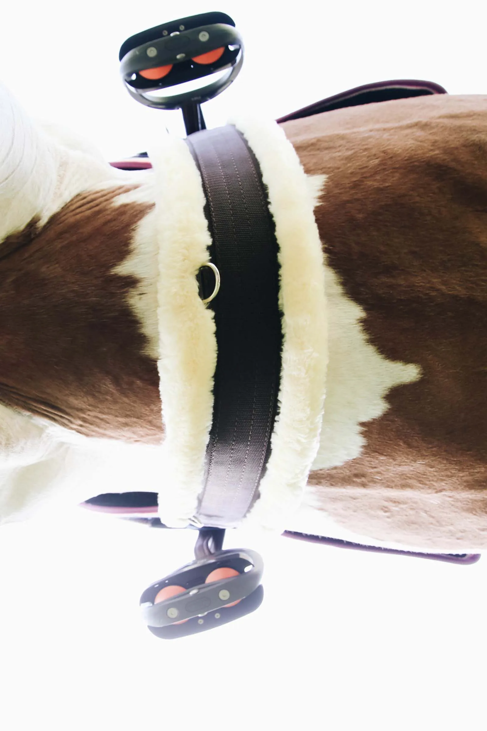 Kentucky Horsewear Sottopancia in pelle di pecora